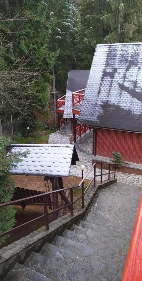 Casa Familiei Braşov Exterior foto